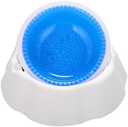 Pet Food Cool schnelle Abkuehlung Schuesseln Geschwindigkeit kalte Schuesseln Pet EIS frostige Schuessel