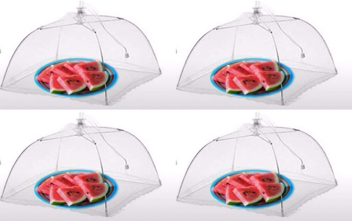 51ZcI2KcBEL._AC_SL1150_