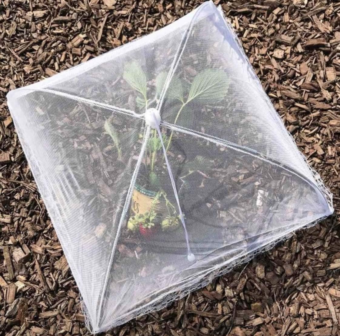 713N2klDcuL._AC_SL1122_