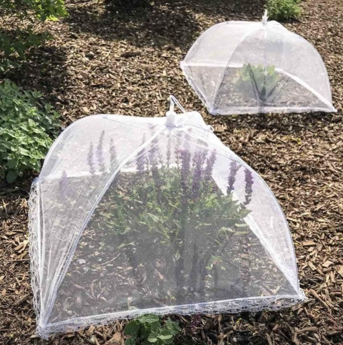 71dkxME21fL._AC_SL1121_